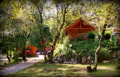 Camping Playa de La Franca Bungalows Asturias