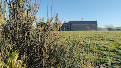La Sidrina Palentina