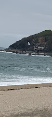 Navia