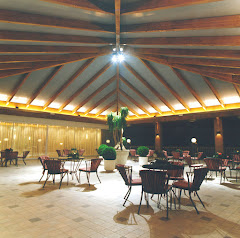Restaurante Arcea Palacio de las Nieves