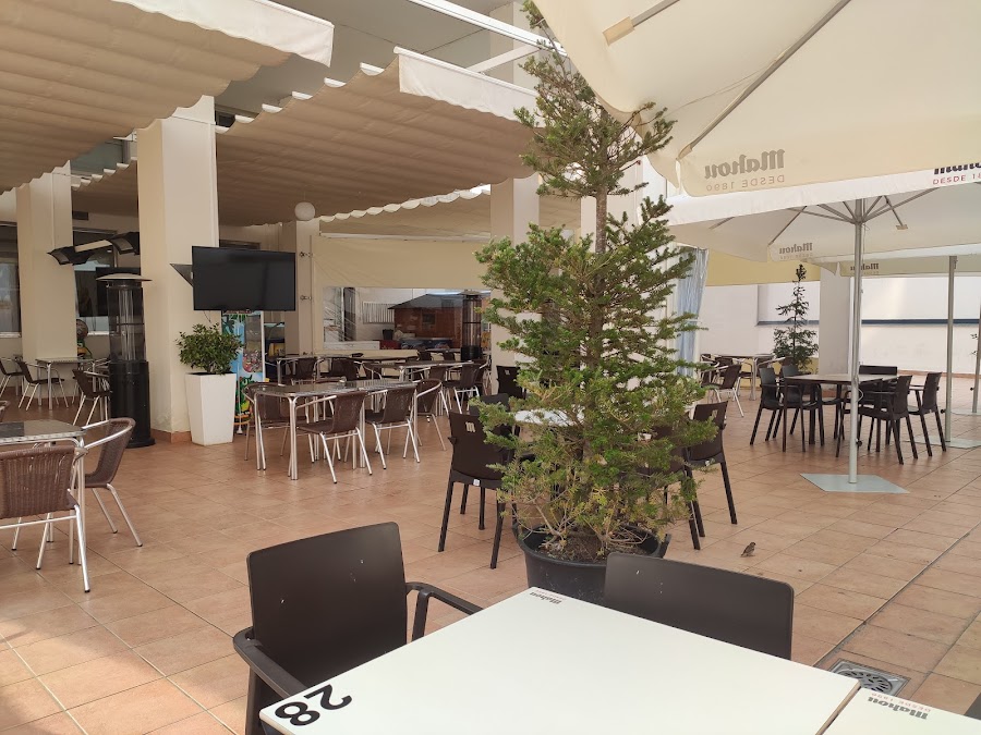 Bar Acebo
