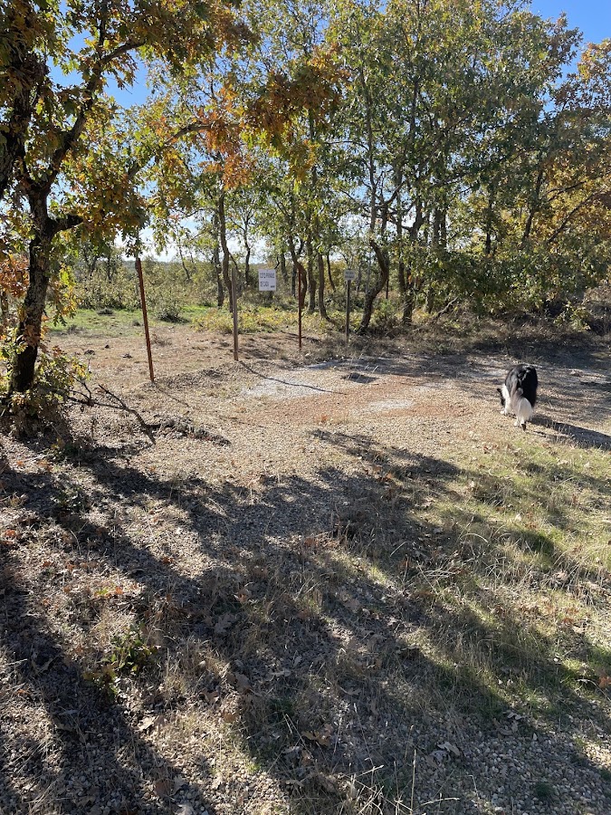 Finca “Dehesa de Valdellán”