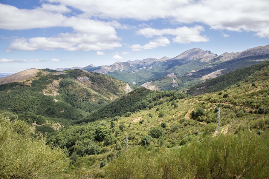 Parque Natural Montaña Palentina